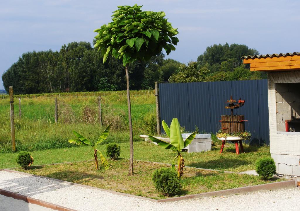 Szerencsecsillag Vendégház Kiskoros Esterno foto